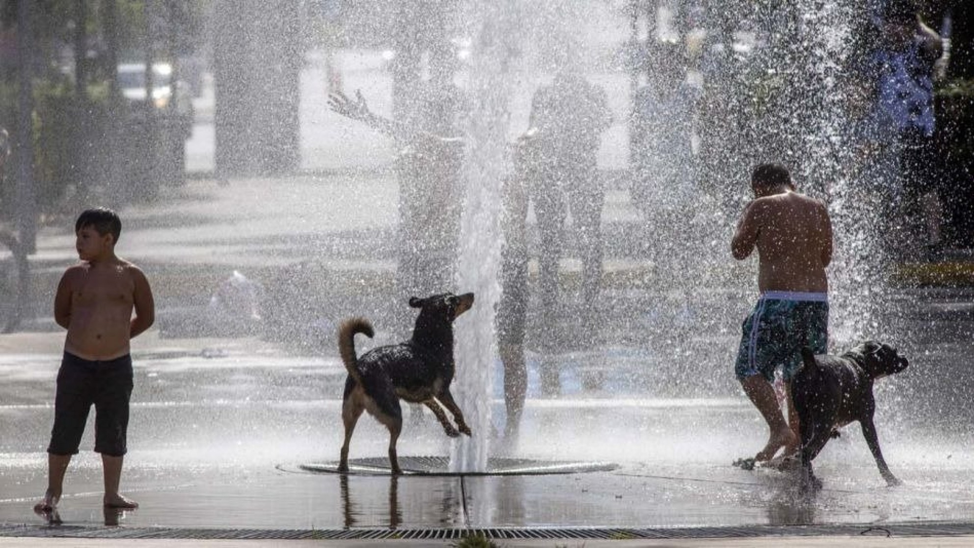 ¿Qué hay que hacer para evitar los golpes de calor?